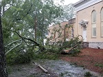 Storm damage fallen trees